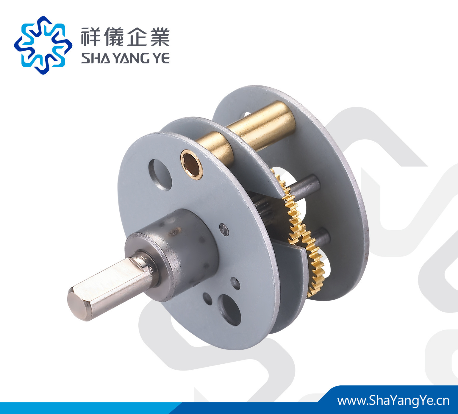 直徑25mm正齿轮 减速箱 微型减速机专用 SHAYANGYE 齿轮箱 RA25