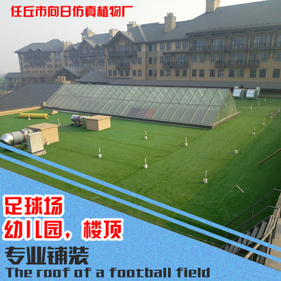 人造草坪仿真草坪足球场草坪塑料假草坪幼儿园人工草皮阳台