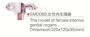 女性smd068器