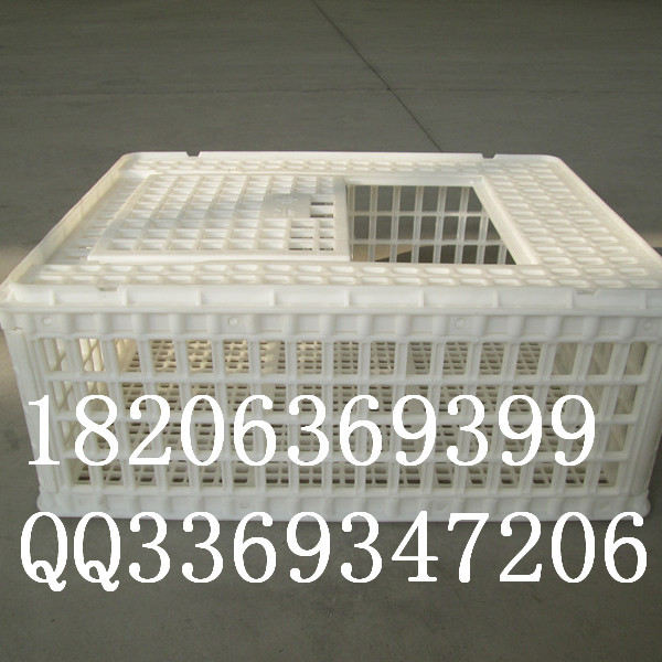 厂家供应成鸡周转箱鸡鸭鹅运输筐大鸡筐