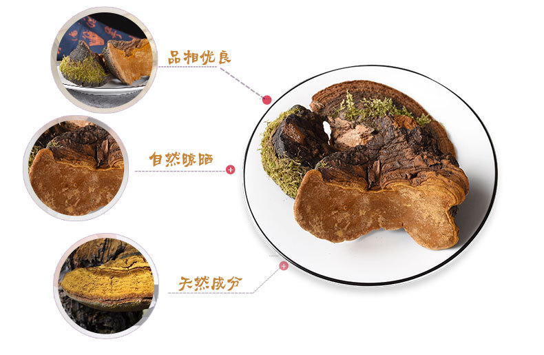 Dou Long Zhi (Ganoderma) — Tibetan Dried Reishi Mushroom, Bulk 500g Food Herb key features