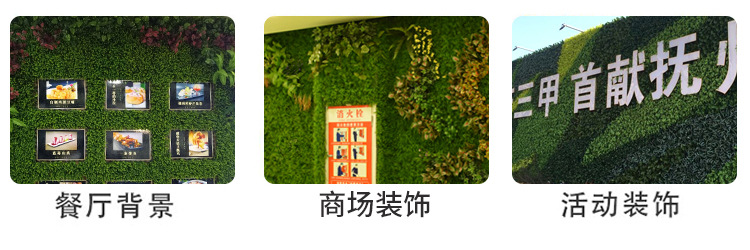 Simulated Milan lawn plant wall, green plant wall, Hao storefront decoration, eucalyptus artificial turf, plastic artificial background wall pic 3