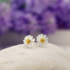 Jewelry, fashionable earrings, silver 925 sample, flowered