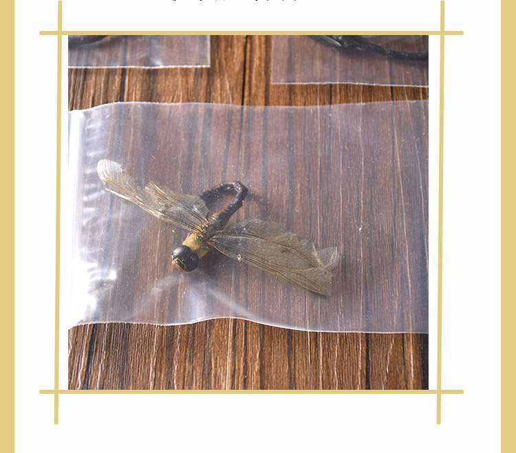 Dried Green Dragonfly (Anisoptera) — Whole Clean Edible Insect Herb 500g quality and texture