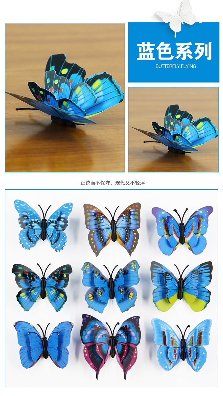 蝴蝶1_16.jpg