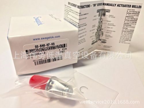 SWAGELOK Bellows Valve SS-BN8-KF-K6 Repair kit