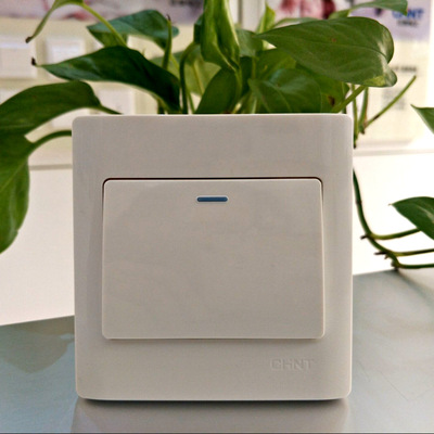 Chint switch socket NEW7-W0020 white Dual control switch 10A250V