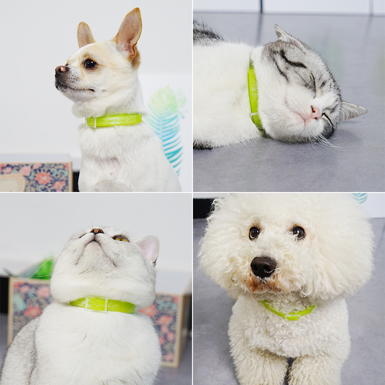 TB2xAkbk29TBuNjy0FcXXbeiFXa_!!