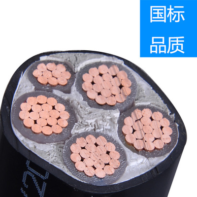 YJV4+1国标铜芯电缆 阻燃电力电缆 阻燃低压电缆线 厂家直销 现货