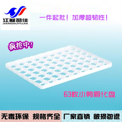 Manufactor Direct selling goods in stock Plastic chick Hatch Super wear-resisting Tough chick Hatch