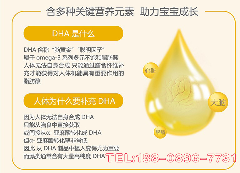 DHA藻油粉加工tel-188-0896-7731.jpg