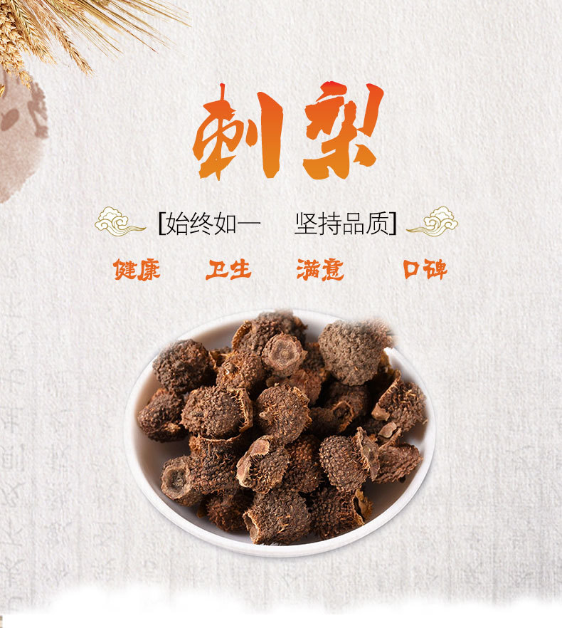 Ci Li Fruit (Rosa roxburghii) — Dried Guizhou Thorny Rose Fruit, Food-Herb Botanical overview