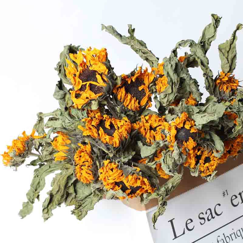 【向日葵干花】ins天然真花云南干花太阳花插花花艺家具饰品批发|ms