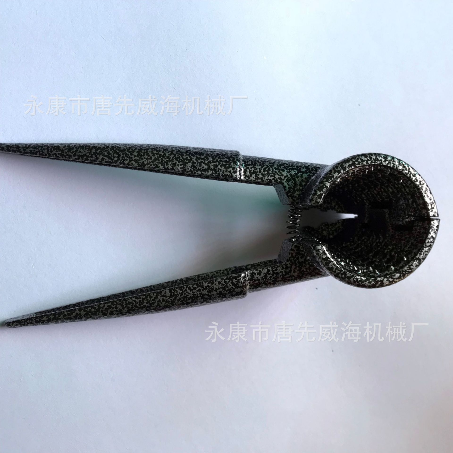 288cIMG_0339 副本.jpg