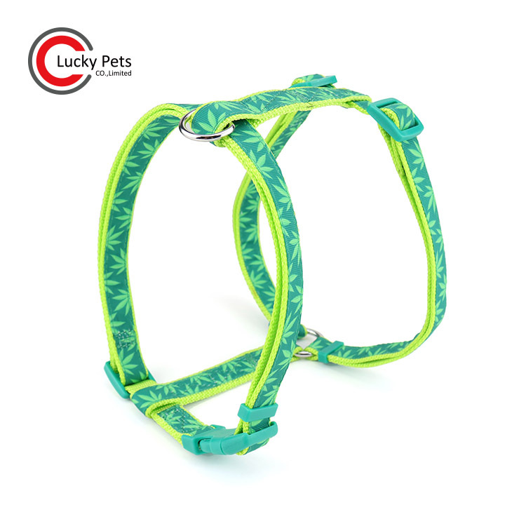 ������ó������Ʒ �ɵ���ӡ���д��������ֳ����ر�����������