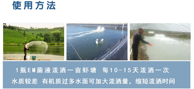 水产EM菌原种适用方法