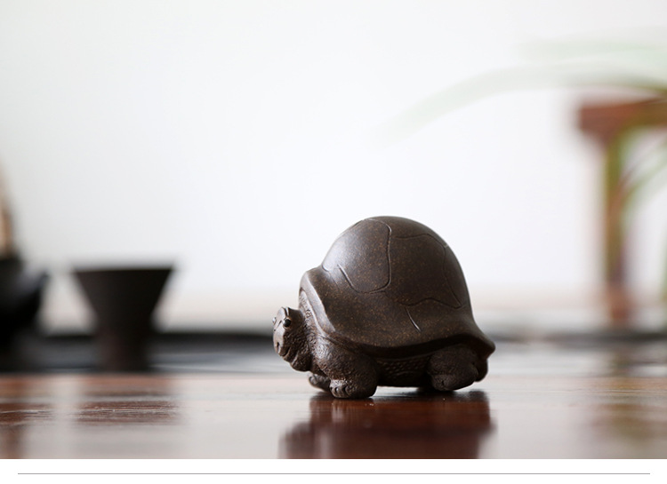 Longevity Turtle 2