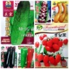 A large number of wholesale vegetable garden pepper pepper planting vegetable seeds cucumber stall rapeseed rapeseed