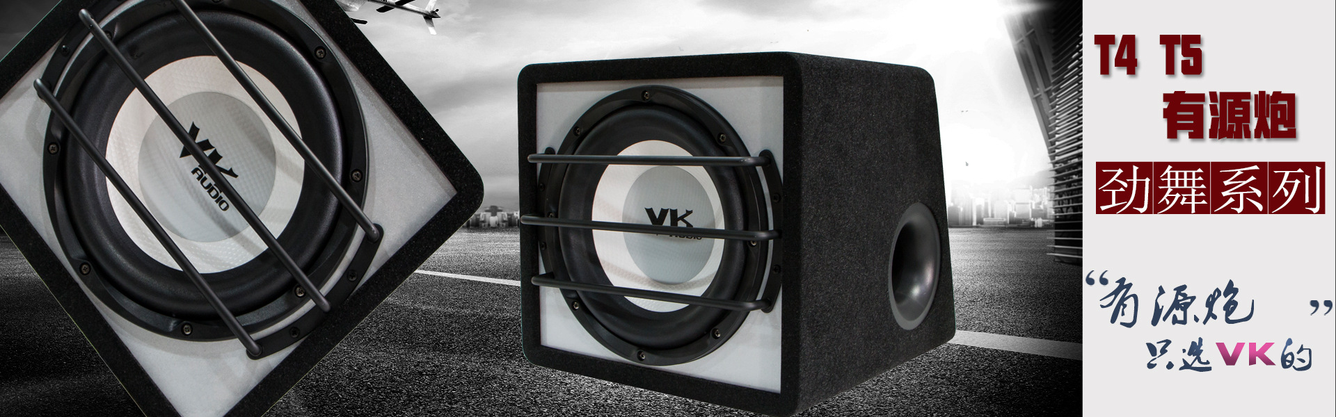 Manufacturers supply VK subwoofer dance subwoofer car Active Subwoofer 12-inch subwoofer T5