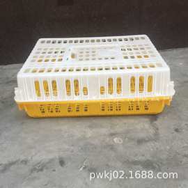 透气养殖塑胶鸡笼 配套透气强专业饲养乌龟笼 牲畜运输专用塑胶笼