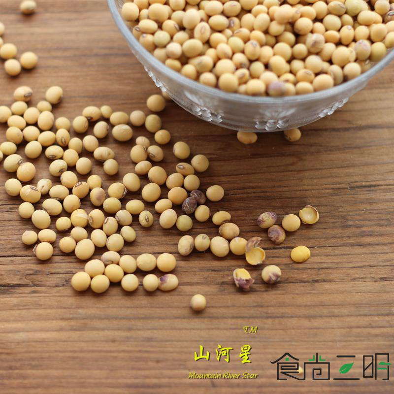 野生農家自種新鮮小黃豆非轉基因發豆芽豆腐豆漿原料種子五谷雜糧