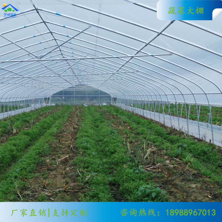 蔬菜大棚(单栋3)