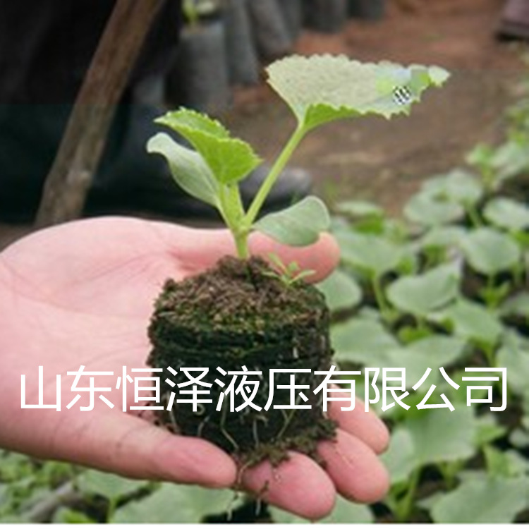 200吨营养基质成型机 牛粪育苗块油压机 营养快成型液压机