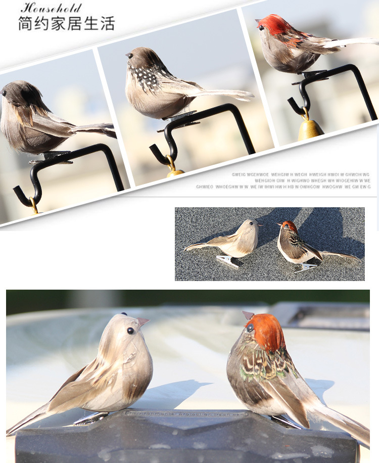 小鸟1_17.jpg