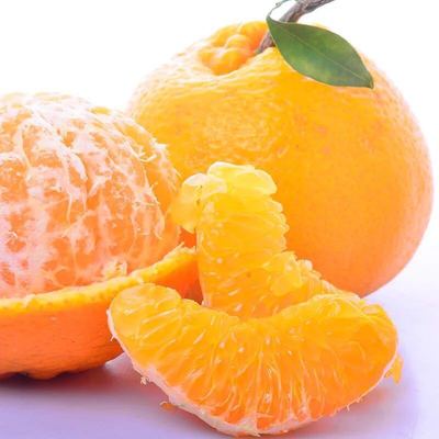 四川春见-粑粑柑非丑橘不知火原产地直供8斤装包邮包售后一件代发