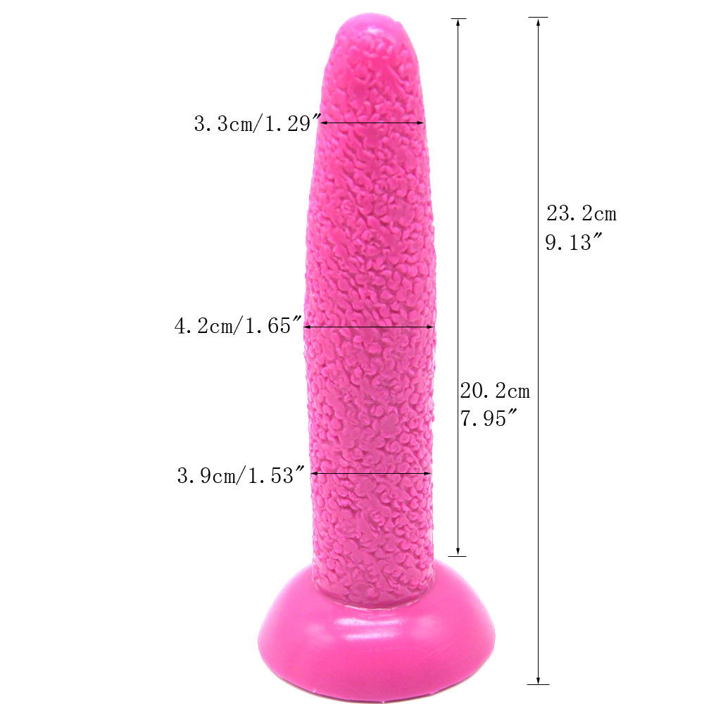 Anal Plug Image 12