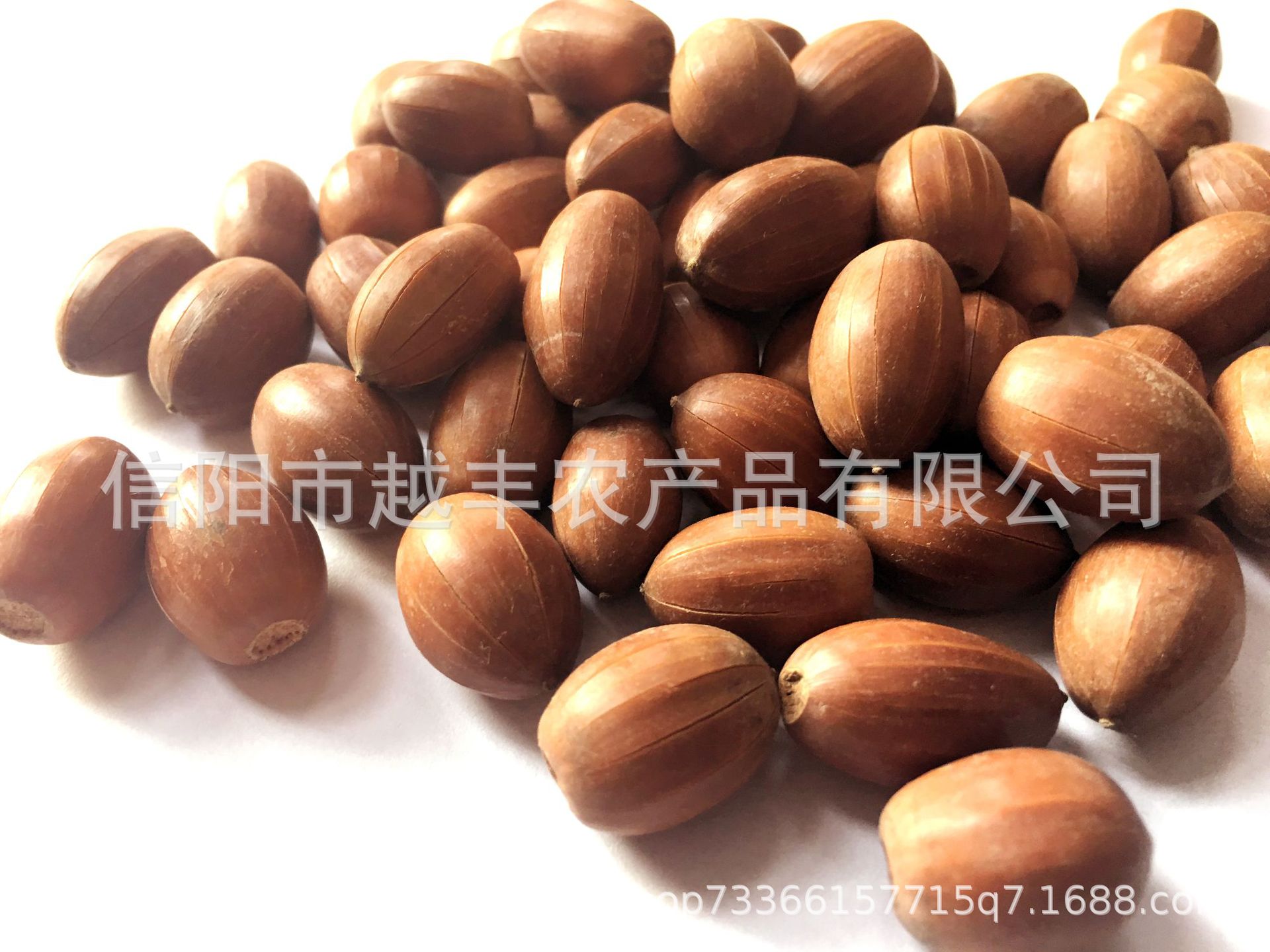 择子果,(第7页)_大山谷图库