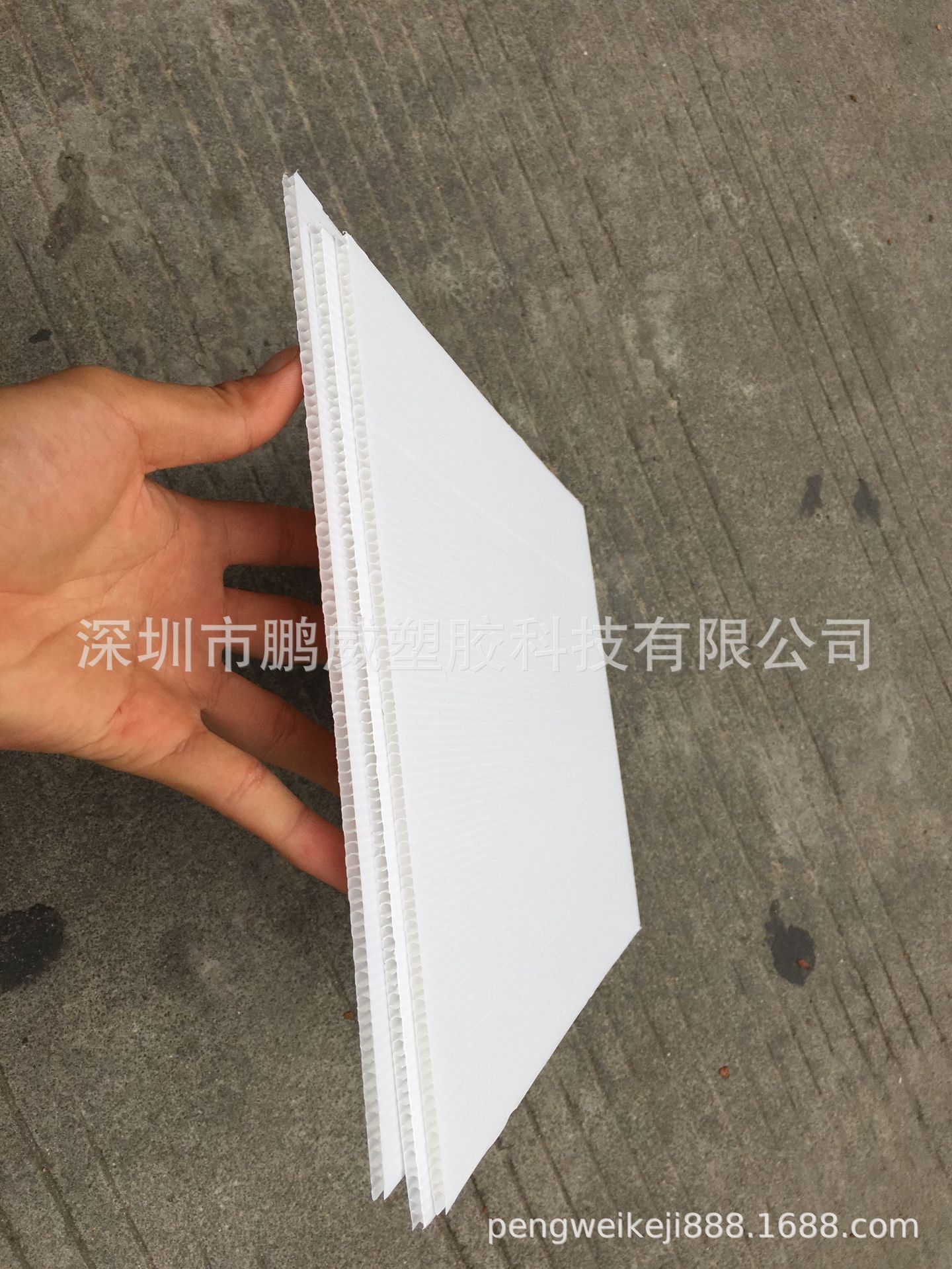 PW荐！上海医疗中空板 广告牌防潮板 可定制任意尺寸塑胶PP瓦楞板