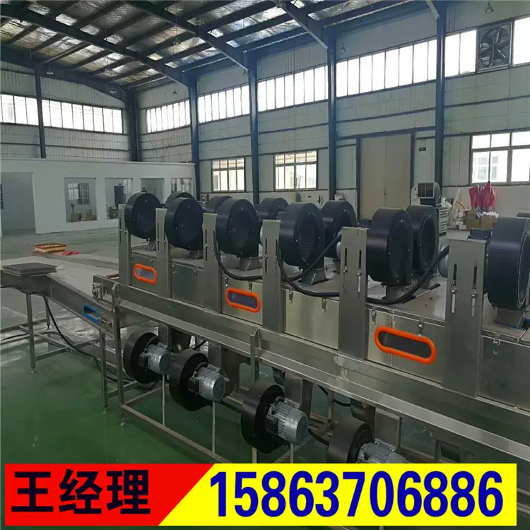 高压喷淋气泡清洗机 果蔬清洗机 蔬菜清洗机 水果清洗机