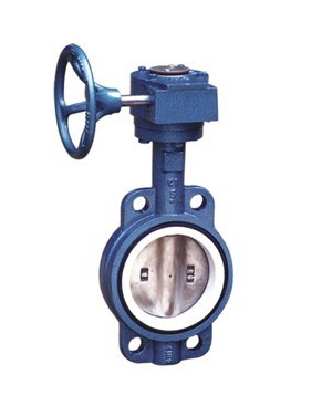 聚四氟乙烯蝶阀 不锈钢板蝶阀 涡轮对夹式蝶阀 软密封蝶阀DN50