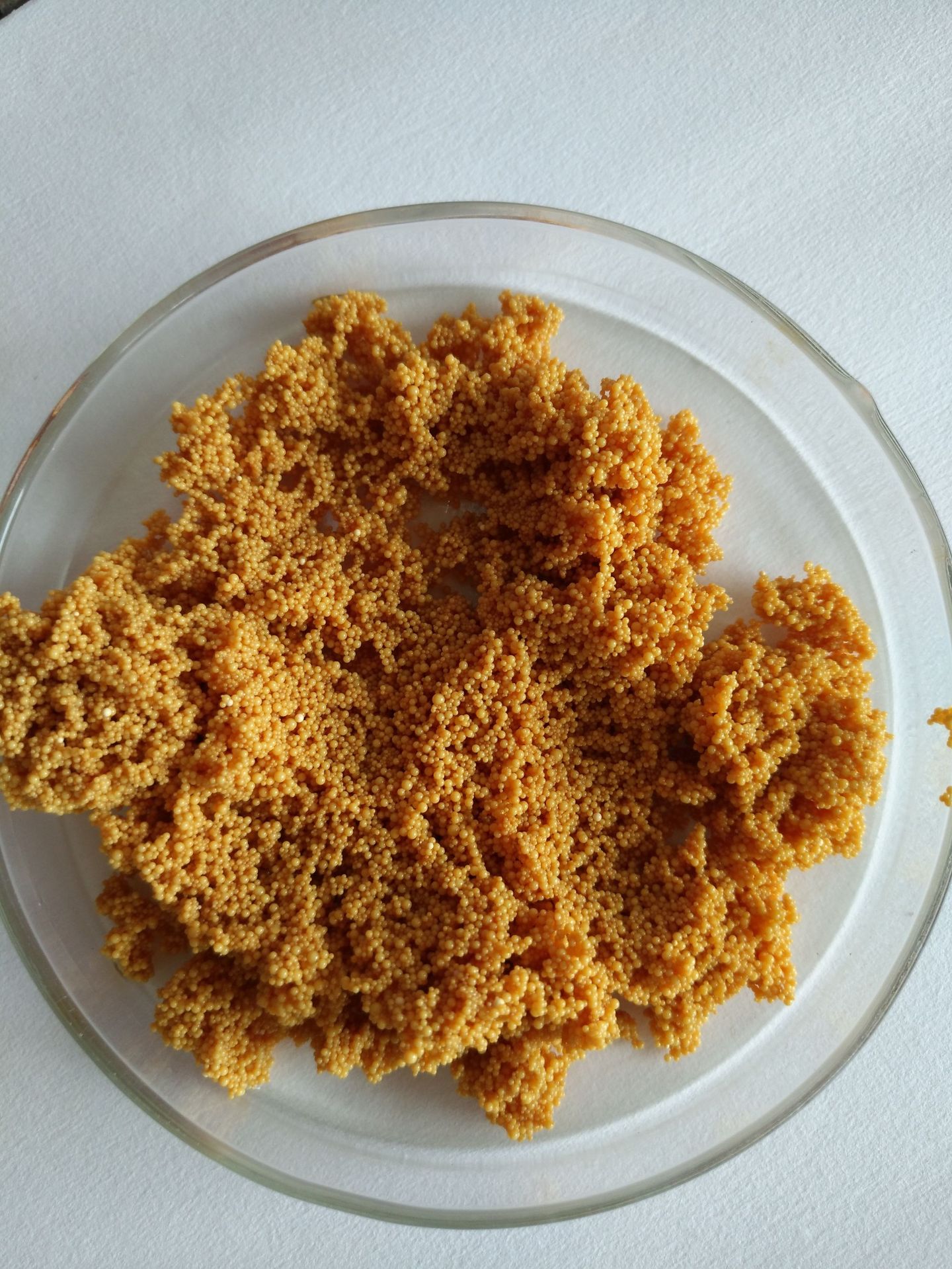 JT001 JT201 EDI电再生18兆高强度均粒离子交换树脂专用