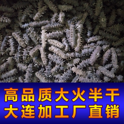 厂家直销大连半干海参干货批发大火拉缸盐海参15-80头/500g