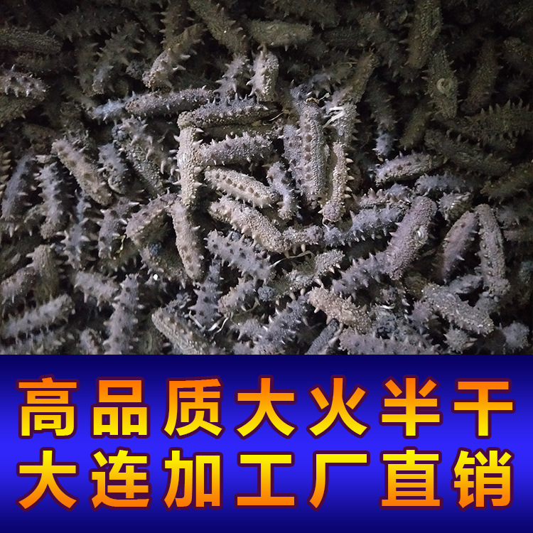 厂家直销大连半干海参干货批发大火拉缸盐海参15-80头/500g