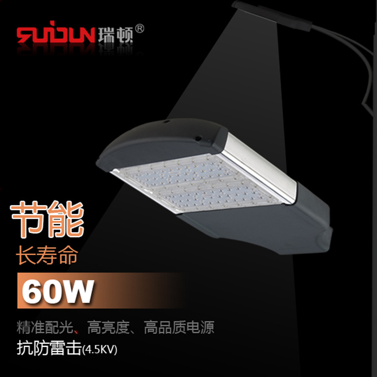 Ryton LED Module street lamp New rural construction LED street lamp Municipal administration Courtyard area lighting Road lights