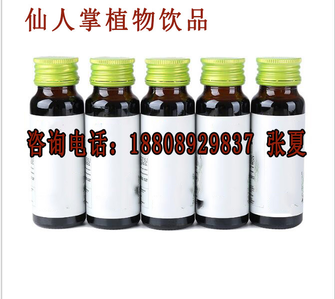 仙人掌植物饮品