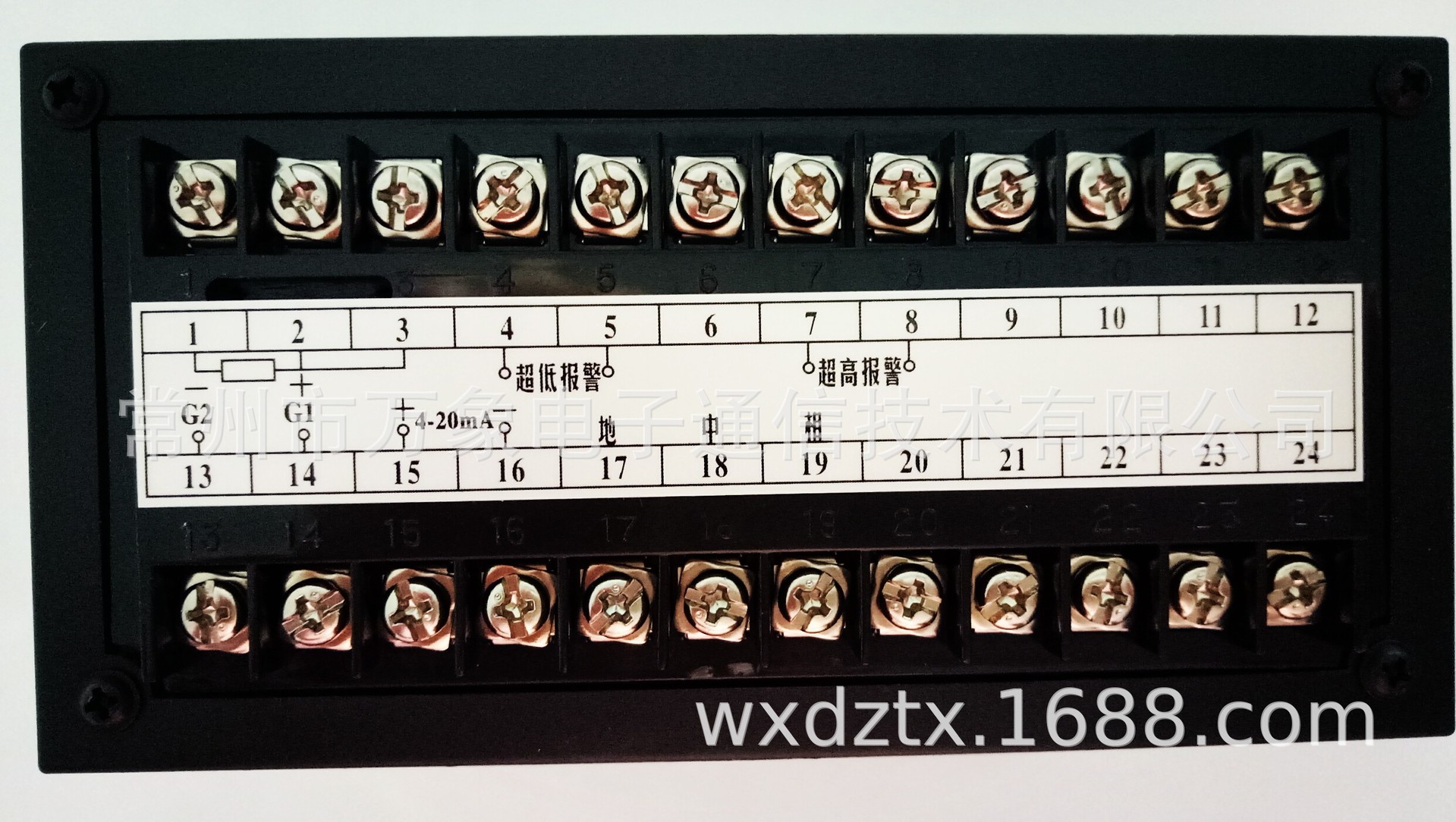 WXDZ-1000型智能溫控儀  WXDZ B-228403
