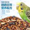 Pet Sinian Battle Bird Eater Parrot Feed Oil Flower Bird Feed Parrot Grain Birds, Birds, Birds and Birds Feed