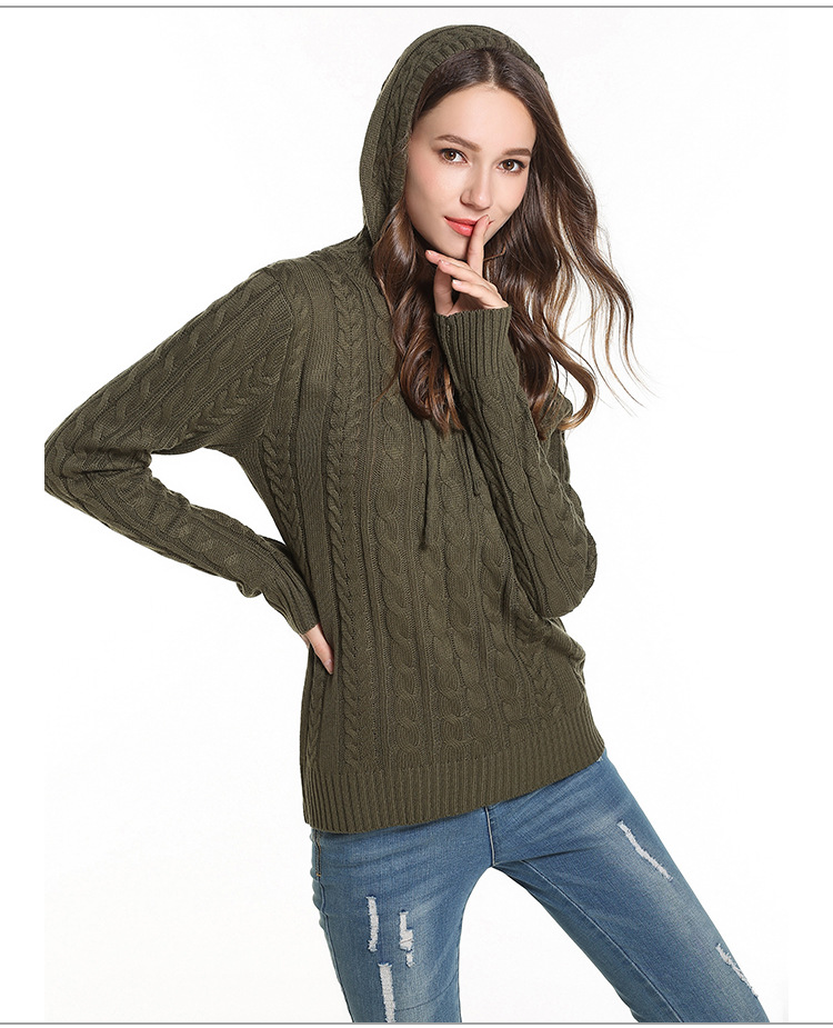 Casual Slim Hooded Knitwear NSYH22095