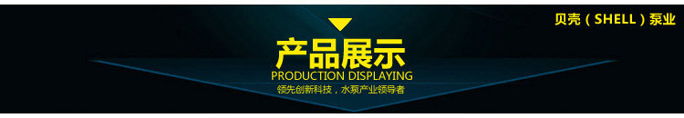 3780755407_523378651