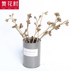 【赞花村】冷色系干花僵尸果 云南干花枝条 文艺家庭装饰花材批发