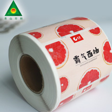 ��ɫ��Ͳ�����z�˺����� �~�漈�����z�N������ ��ӡ�̘�logo���N