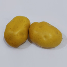 ������ĭ�߲�ˮ�����ߔzӰ�����o����b���� �����R���