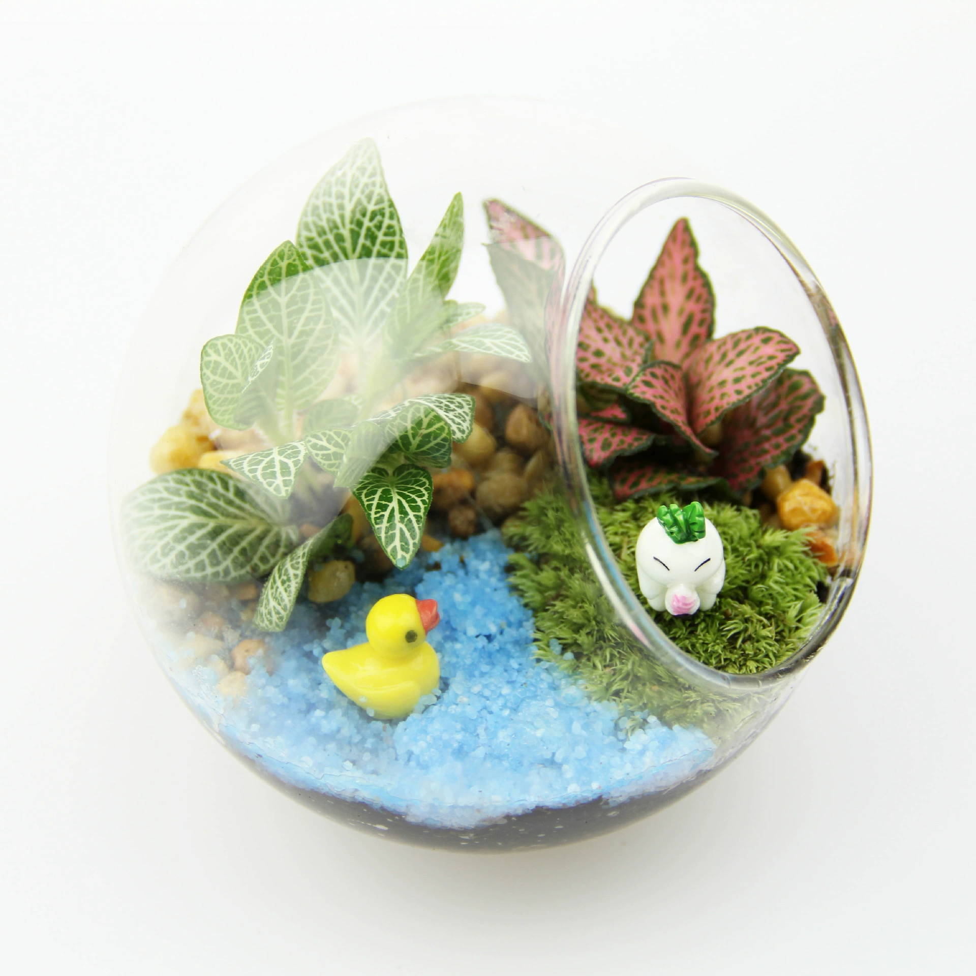 Творческий подарок зеленый завод микро пейзаж костюм закончил экологическую бутылку 12 см плоское дно висит бутылка оптом