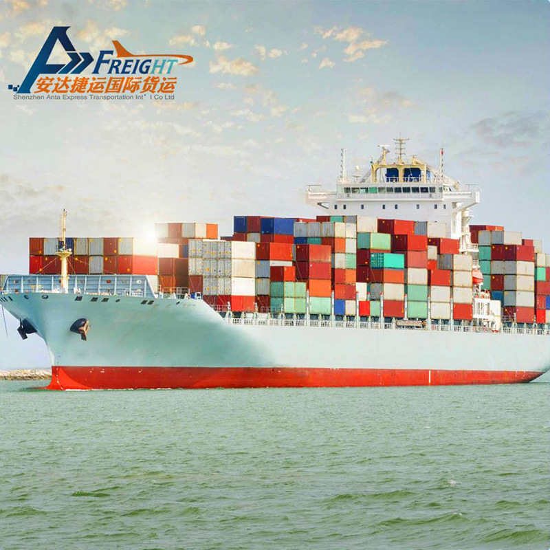 特价摩洛哥海运双清和进口代理清关散货拼箱DDP和DDU到门专业国际