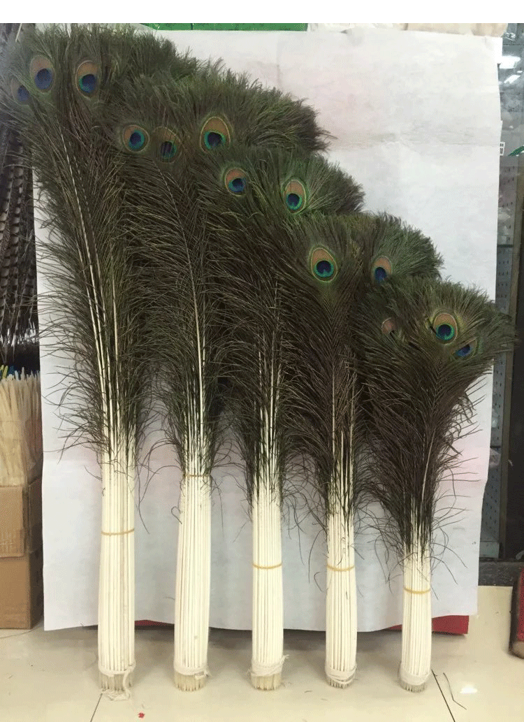 孔雀毛详情页_09