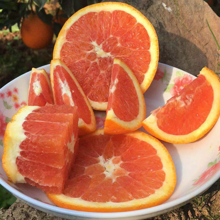秭归血橙 鲜橙香味浓郁 清甜无渣 细腻柔滑 唇齿留香5斤29元|ru